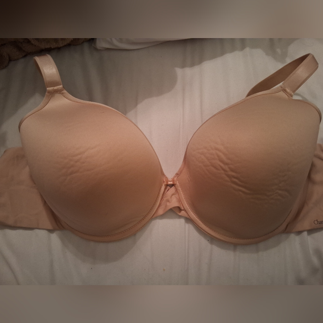 Chantelle Pink Underwire T-Shirt Bra No Size Tag 34dddd Rguc